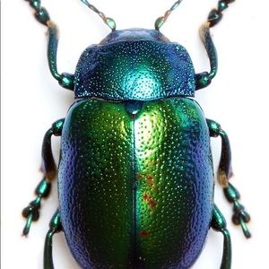 Meet your Posher, Colleen